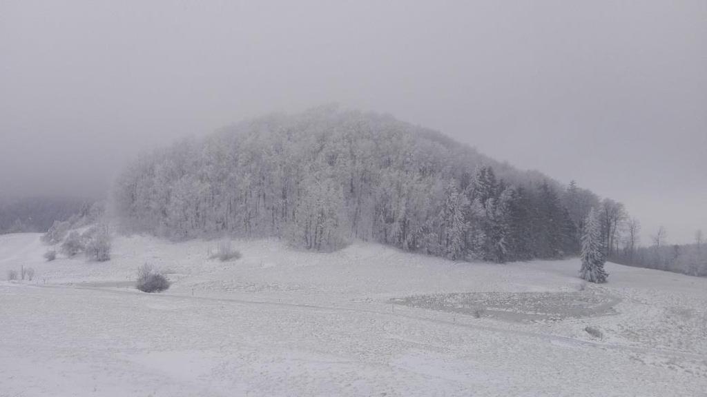 Widok na Gomołę (733 m) i