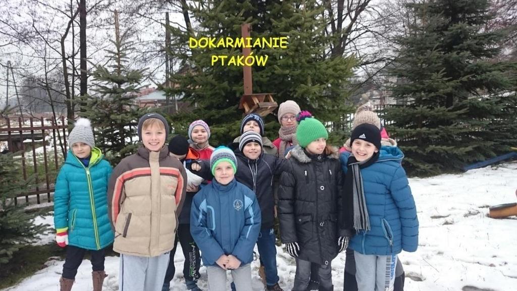 Działalność
