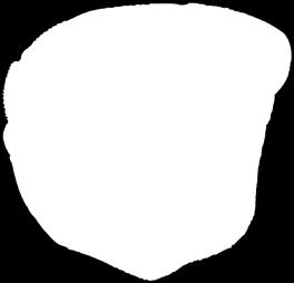35 cm Ø oczek (mm)