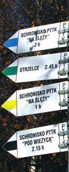 Marek Wójtowicz SJ Wychowawczyni w służbie Królestwa Bożego 40 kult
