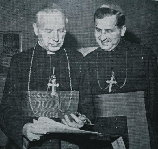 Tygodnika Powszechnego. Był jednak wtedy prawdziwy entuzjazm. Trochę przygnieciony trudnym ciężarem komunistycznego zniewolenia, ale jednak prawdziwy. A ja sam?