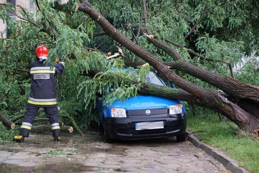 ruchu drogowego, brak widoczności, śmiertelność w sytuacji kolizji