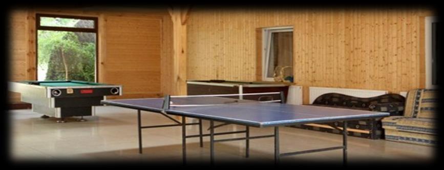 strzelania (strzelnica), *miejsce na ognisko z ławeczkami, *sprzęt sportowy: piłki,