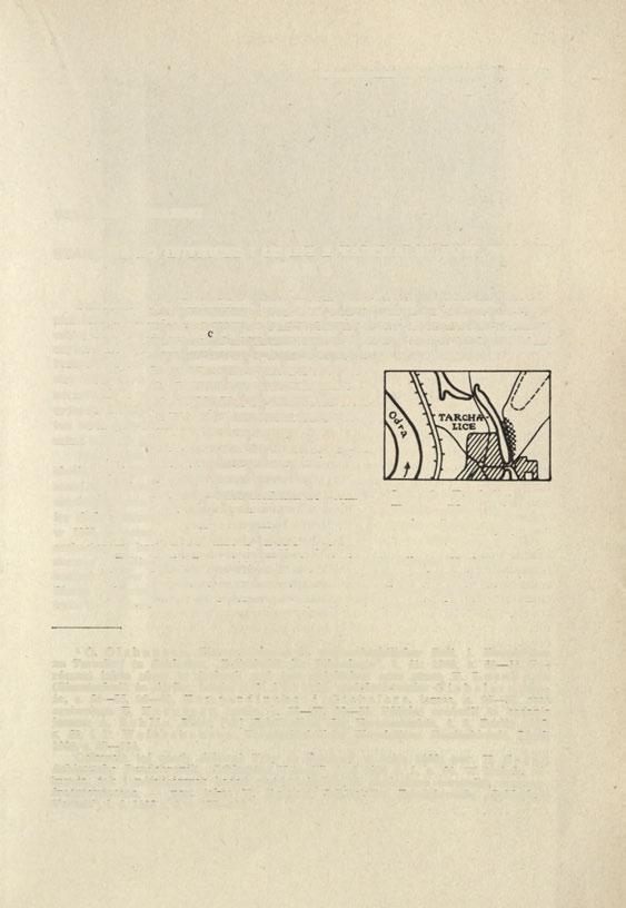 Sprawozdania Archeologiczne, t. XXIV, 1972 GRZEGORZ DOMAŃSKI STANOWISKO HUTNICZE I OSADY Z TARCHALIC, POW. WOŁÓW, STAN. 1 Stanowisko 1 w Tarchalicach, pow.