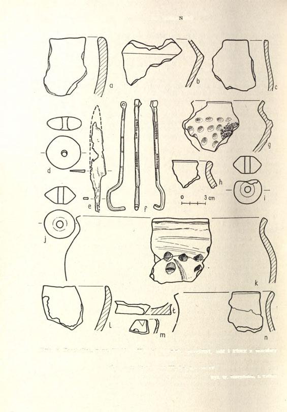 400 GRZEGORZ DOMAŃSKI Ryc. 6. Tarchalice, pow.