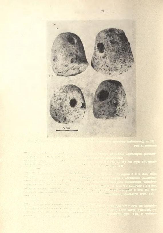 402 GRZEGORZ DOMAŃSKI Ryc. 8. Tarchalice, pow. Wołów. Ciężarki tkackie z warstwy kulturowej, ar IX Fot. A.