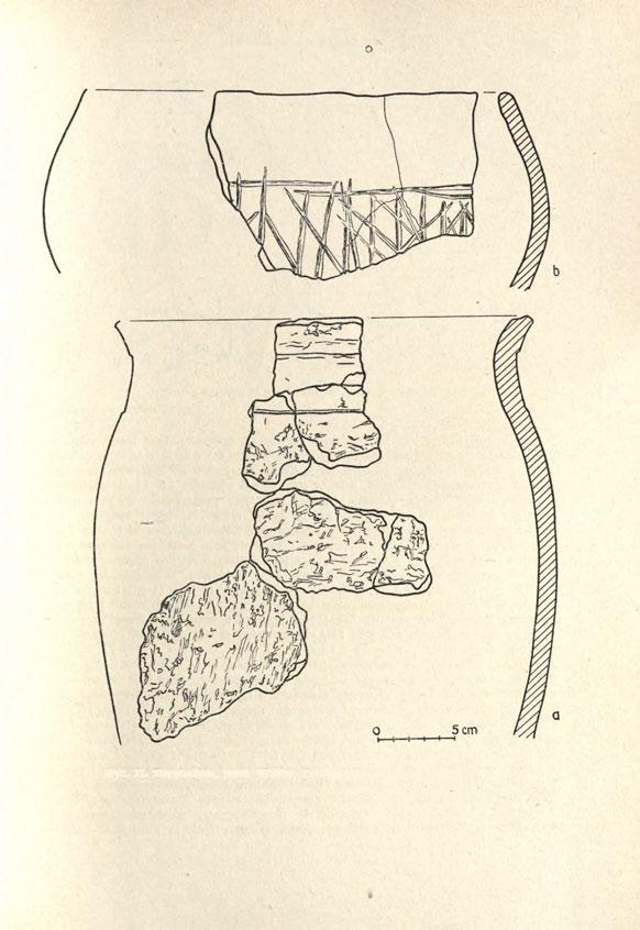 TARCHALICE, POW. WOŁÓW 405- Ryc. 11. Tarchalice, pow.