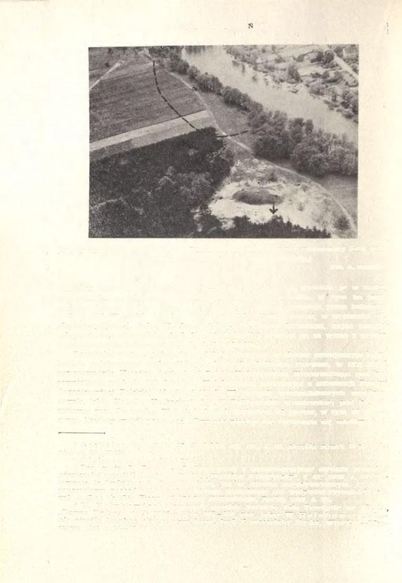 392 GRZEGORZ DOMAŃSKI Ryc. 2. Tarchalice, pow. Wołów. Widok terenu osady (zasięg zaznaczony linią przerywaną) i cmentarzyska (oznaczone strzałką) Fot. A.
