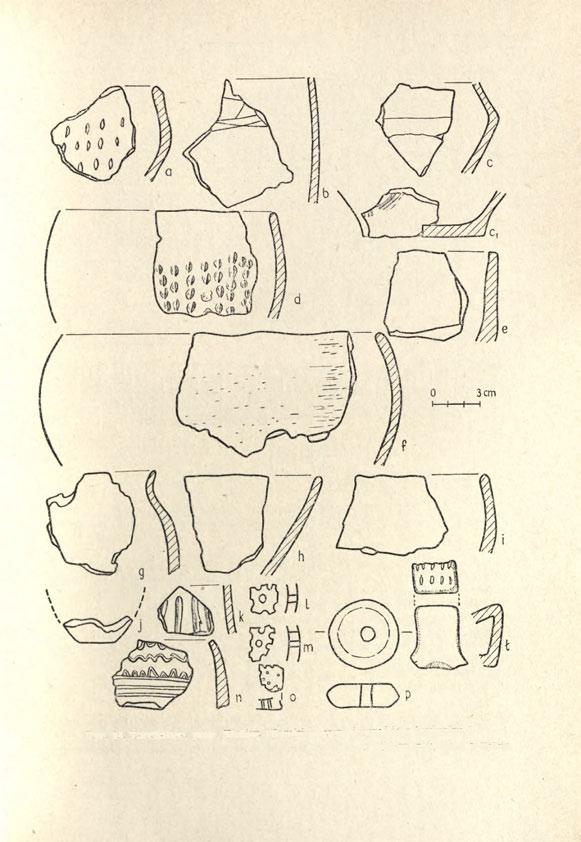 TARCHALICE, POW. WOŁÓW 409- Ryc. 14. Tarchalice, pow. Wołów.