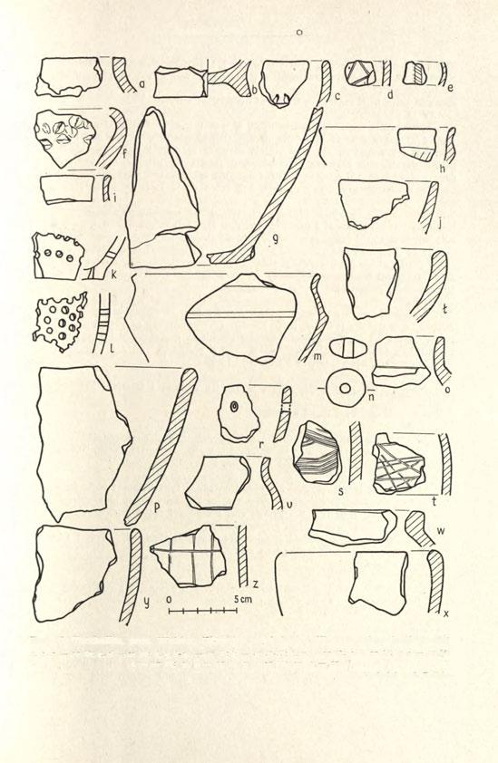 TARCHALICE, POW. WOŁÓW 397- Ryc. 5. Tarchalice, pow. Wołów.