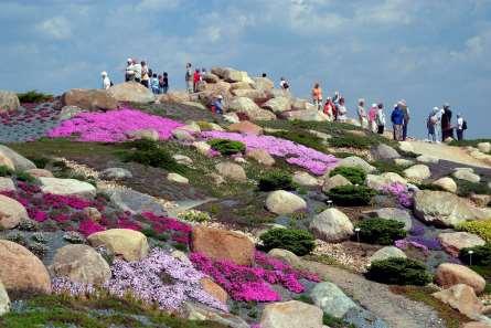 Główne cele Geoparku Utrzymanie, pielęgnacja i podkreślenie wartości dziedzictwa geologicznego (ochrona geotopów) W Geoparku UNESCO geotopy są źródłem informacji na temat rozwoju krajobrazów i