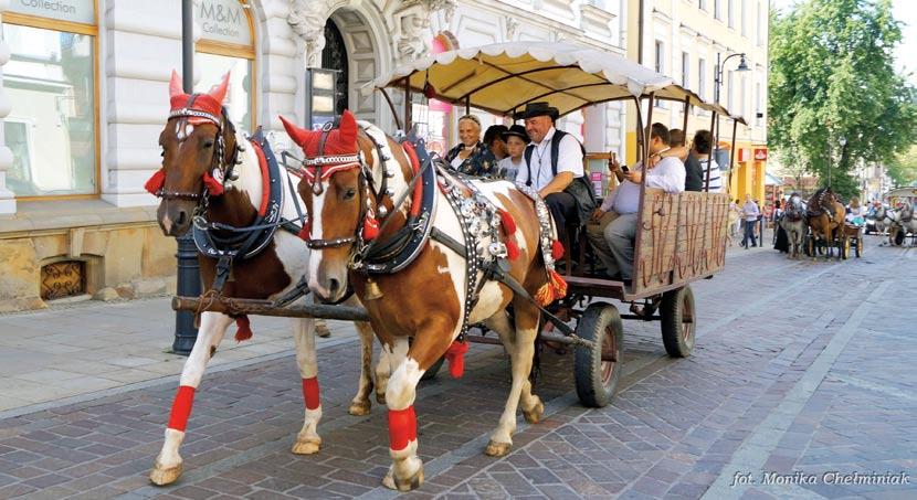 doła isys Austriaki, saven Sasy jandłe dre da ryga kaj te keren saveś bucia, a pośli dova syr skończyndłe zakariedyne łen.