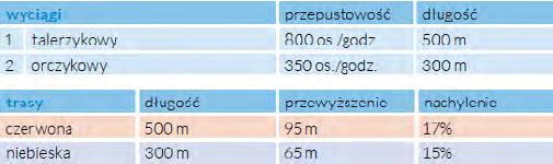 - Serwis i wypożyczalnia sprzętu narciarskiego, - Instruktor 50-55 zł za godzinę.