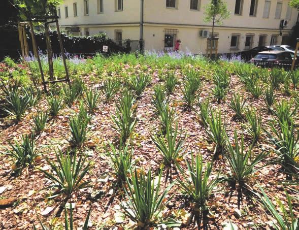 WRZESIEŃ 2018 9 ZAKŁAD GOSPODAROWANIA NIERUCHOMOŚCIAMI Remonty w Śródmieściu idą pełną parą v Dokończenie ze str.
