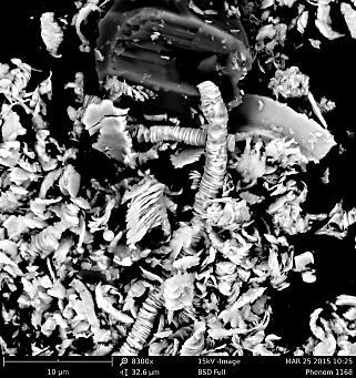 stołowego mikroskopu skaningowego Phenom, umożliwiającego uzyskanie powiększenia do