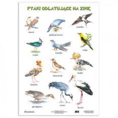 czas i rytmy przyrody