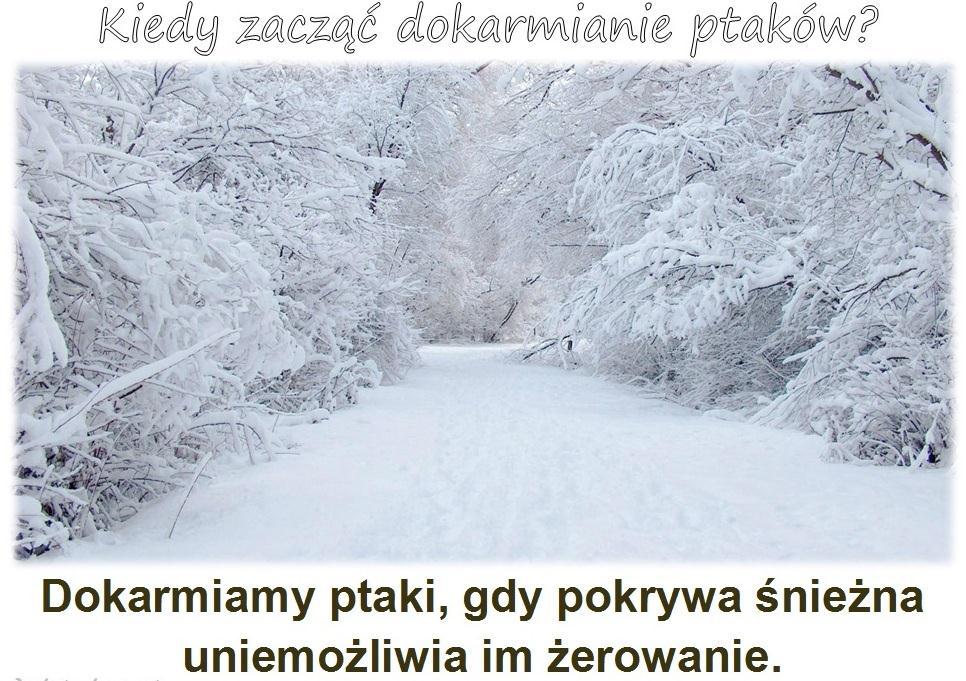 Zimą