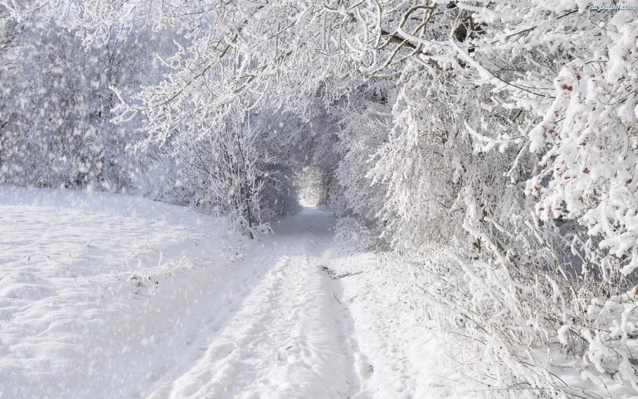Zima 22 grudnia- 21 marca Jedna z czterech pór roku w przyrodzie, w strefie klimatu umiarkowanego.