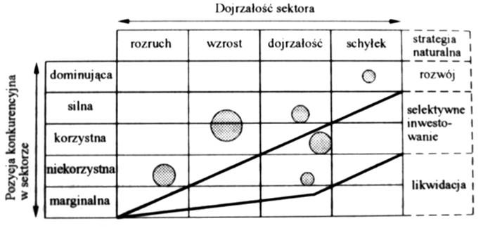 Macierz ADL (A.D. Little Inc.) Macierz ADL (A.D. Little Inc.) trajektorie strategiczne źródło: Gierszewska, Romanowska, Analiza strategiczna przedsiębiorstwa, PWE, 1997, str.