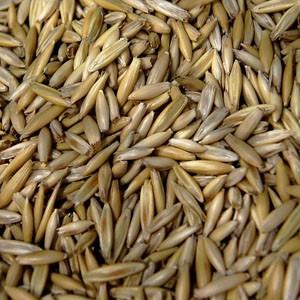 Oblicz ilość kg P₂O₅, jaką dostarcza się do gleby, stosując 200 kg/ha