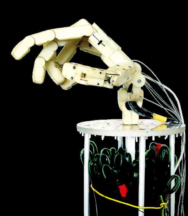 Charakterystyka kierunków i specjalności ÆÆkierunek studiów: inżynieria biomedyczna studia II stopnia Absolwent ma wiedzę z zakresu nowoczesnych konstrukcji i technologii w medycynie oraz informatyki