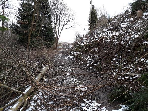 ścieżki rowerowej oraz kanalizacji deszczowej przy ulicy