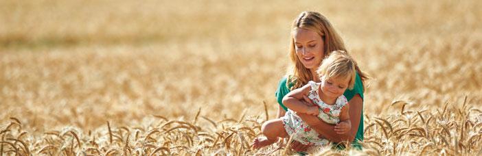 Kaszki a wprowadzanie glutenu Zaliczany do częstych alergenów gluten to mieszanina na białek roślinnych występujących w ziarnach niektórych zbóż (np. pszenicy, żyta, jęczmienia). Czy wiesz, e.