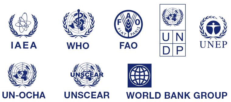 Raport UNSCEAR został potwierdzony w 2003 roku przez organizacje ONZ (UNDP, UNICEF, UN-OCHA) i przez Światową Organizację Zdrowia (WHO)
