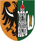 Załącznik do Uchwały Nr Rady Gminy Lubin z dnia Program