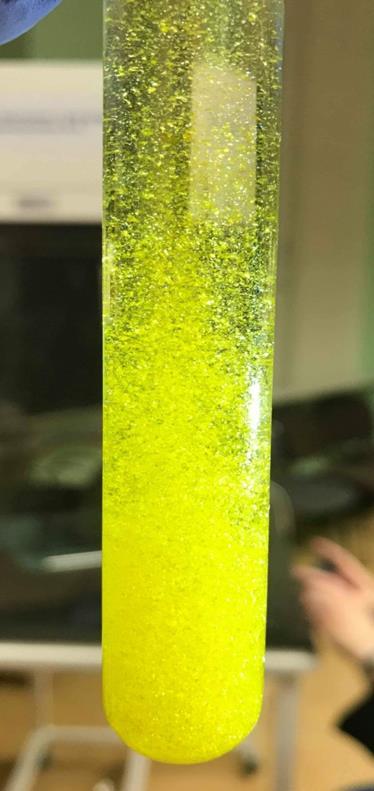 Jodek ołowiu powstaje w reakcji wodnych roztworów łatwo rozpuszczalnych soli z jodkiem potasu. Bezpośrednio po zmieszaniu zimnych roztworów powstaje drobnokrystaliczny, żółty osad PbI 2.