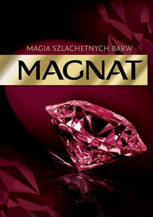4.01 WIZUAL MARKI - PION Wizual marki (KeyVisual) jest graficzną interpretacją jestestwa MAGNAT, zdefiniowanego jako premium look, czysta kompozycja ograniczona do minimalnej