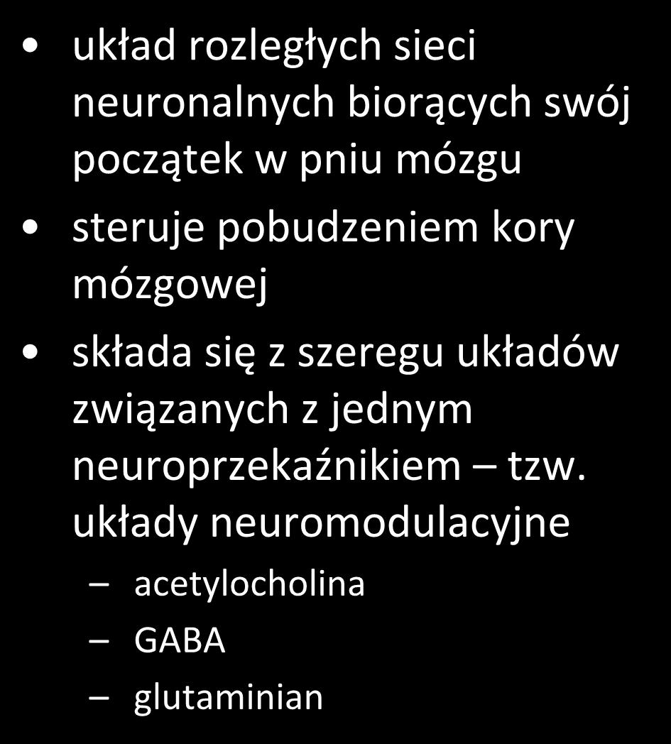 aspekt ilościowy - układ siatkowaty układ rozległych sieci