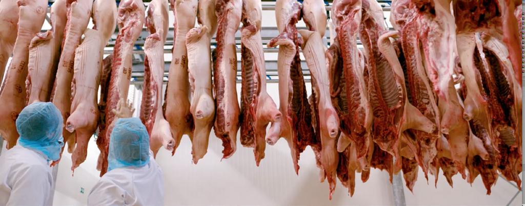 5. Rośnie światowa produkcja ogółem Produkcja mięsa na świecie (p) (źródło: GIRA) Rentowność produkcji mięsa zyskała nieznaczny pozytywny impuls dzięki silnemu popytowi na produkty mięsne na całym