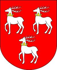 Załącznik nr 3 do SIWZ SZCZEGÓŁOWE WYTYCZNE TECHNICZNE PROJEKTU Budowa Systemu Informacji Przestrzennej Powiatu Łukowskiego SIPPL Dokumentacje