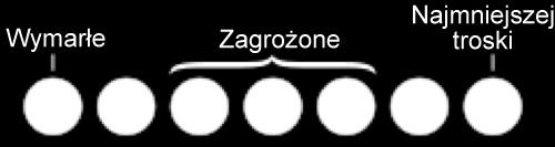 endangered) - zagrożone, VU (ang. vulnerable) - narażone, NT (ang. near threatened) - bliskie zagrożeniu wyginięciem, LC (ang.
