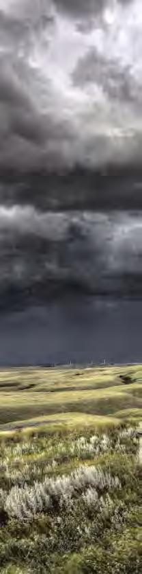 Dekory Uni / Over the rainbow Dekory Uni / Stormy weather A B C D E F G H I J K L M N O P Q R S T 1 1 OVER THE RAINBOW U11506 (U10) Biały Ivory U150 (U0) Wanilia Jasna U11509 (U106) Magnolia U16007