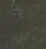 S66019 (F87)
