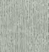 S66015 (F85)