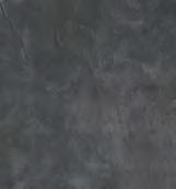 S66016 (F86)