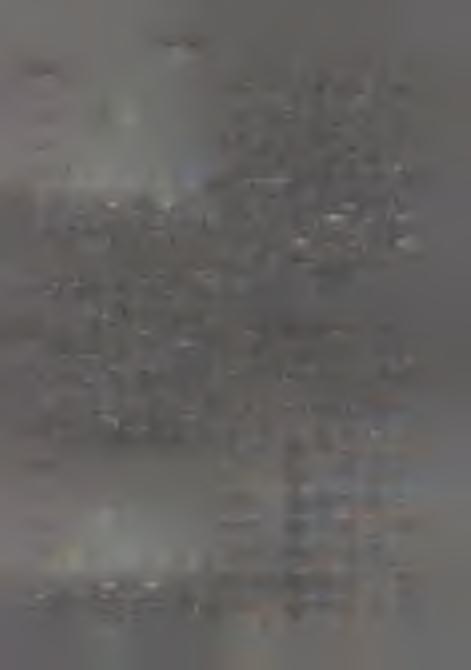 miasta dużego wyniosły odpowiednio 2,5 oraz 2,3 cm; wszystkie te różnice są statystycznie znaczące (rys. 2).