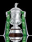 Cup, Emirates FA