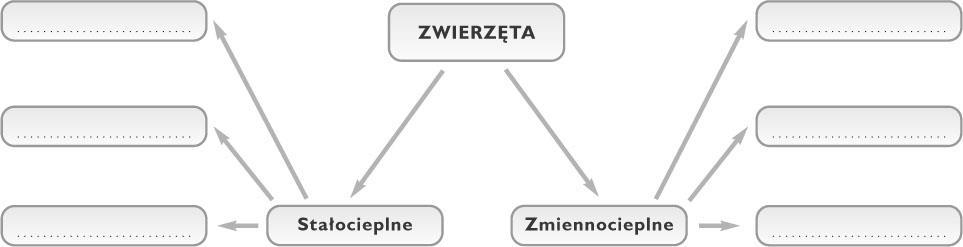 Rysunek do zadań: 16,17,18. N 600 200 400 X 742 Zadanie 16. ( 1 pkt.) Jaka formę terenu przedstawia rysunek poziomicowy zamieszczony powyżej? A. wzgórze B. górę C. kotlinę D. pagórek Zadanie 17.