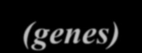 Idea Metody of evolutionary optymalizacji optimisation inspirowane biologicznie 1 Artificial