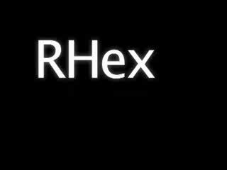 RHex robot - superman, biegający, pływający, grający w piłkę kwintesencja modelowania i technik