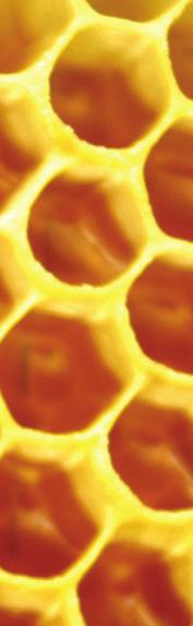 Propolis jest uważany za produkt roślinny będący żywiczną wydzieliną pączków liściowych niektórych drzew lub substancją wysiękową wytwarzaną przez rośliny po ich uszkodzeniu, do której dodawany jest
