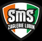 DYREKTOR SMS ZAGŁĘBIE LUBIN WNIOSEK O PRZYJĘCIE DO KLASY PIERWSZEJ W ROKU SZKOLNYM 2018/2019 I. SPORT(należy zaznaczyd właściwy kwadrat) piłka ręczna piłka nożna dyscyplina indywidualna... II.