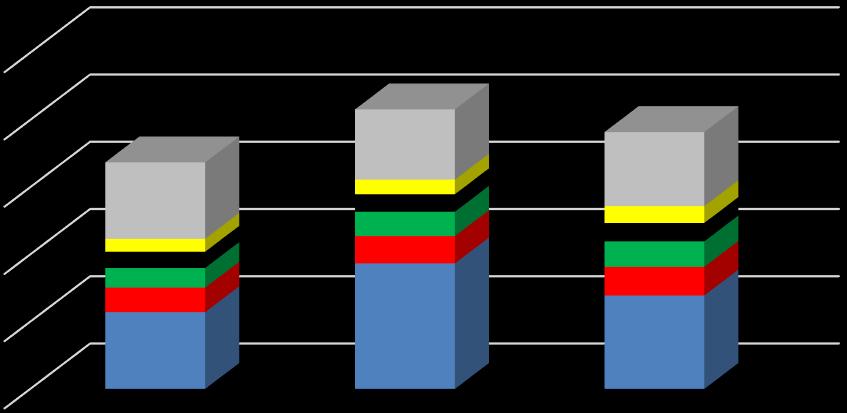 Tony Sprawozdanie zarządu z działalności Grupy GOBARTO S.A. za okres 12 miesięcy zakończony dnia 31 grudnia 2017 roku B.5.