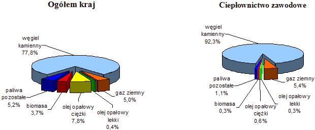 do 2002 r.). Była to jedyna grupa przedsiębiorstw, w której produkcja systematycznie rosła. Ciepłownictwo zawodowe do produkcji zużywało przede wszystkim węgiel kamienny.