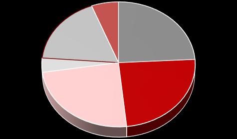 Strategia i rozwój Adam Kidała 4 132 353 21,18% 6 257 353 24,17% Jacek Rożek 4 132 353 21,18% 6 257 353 24,17% ADAM KIDAŁA Wiceprezes Zarządu Zakupy, Strategia i rozwój Jerzy Wodarczyk 4 132 353