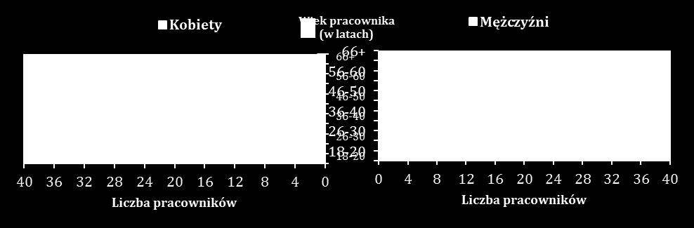 wyznanie, styl życia, tożsamość płciową, orientację psychoseksualną, stan rodzinny, przekonania polityczne, formę, zakres i podstawę zatrudnienia, pozostałe typy współpracy oraz inne przesłanki